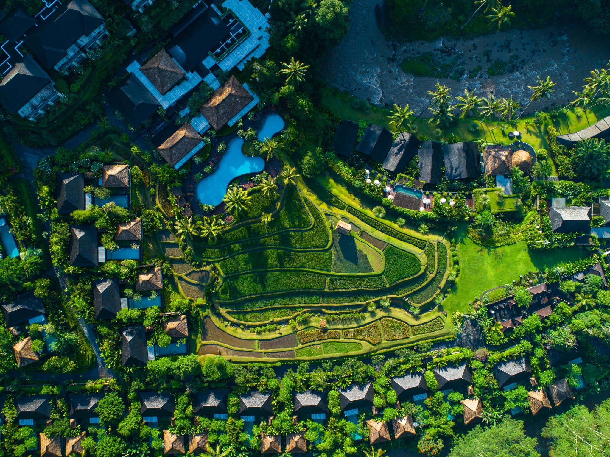 Mandapa, a Ritz-Carlton Reserve — riverside wedding venue in Ubud, Indonesia · photo 5 of 12