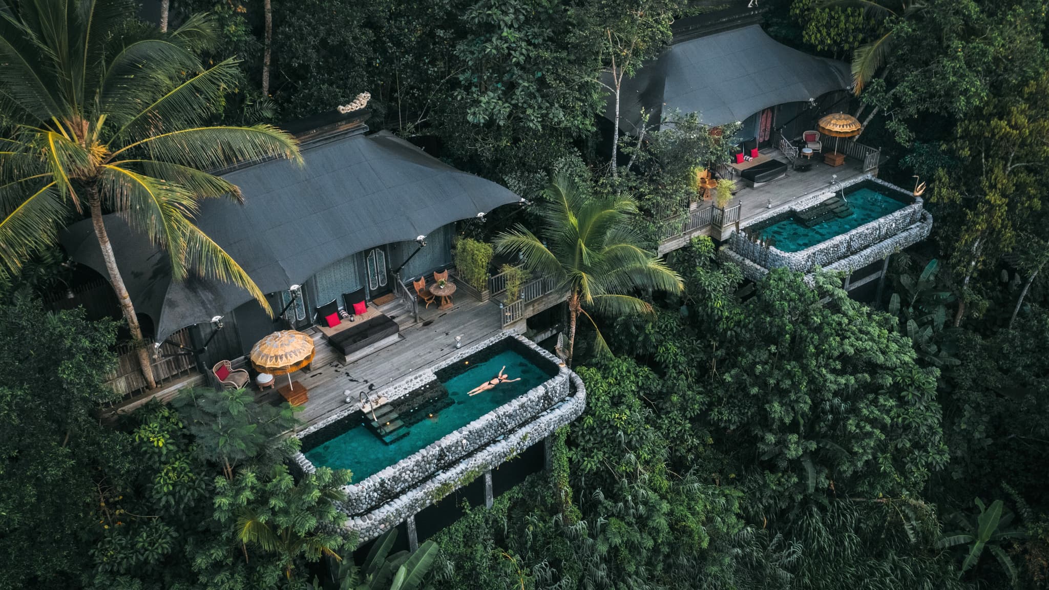 Jungle Valley
