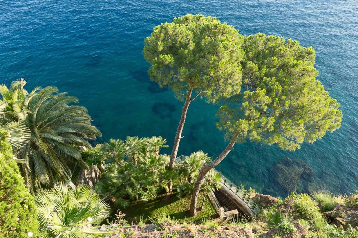 Villa Astor — pines and palms in the cliff garden above the sea · Sorrento, Italy