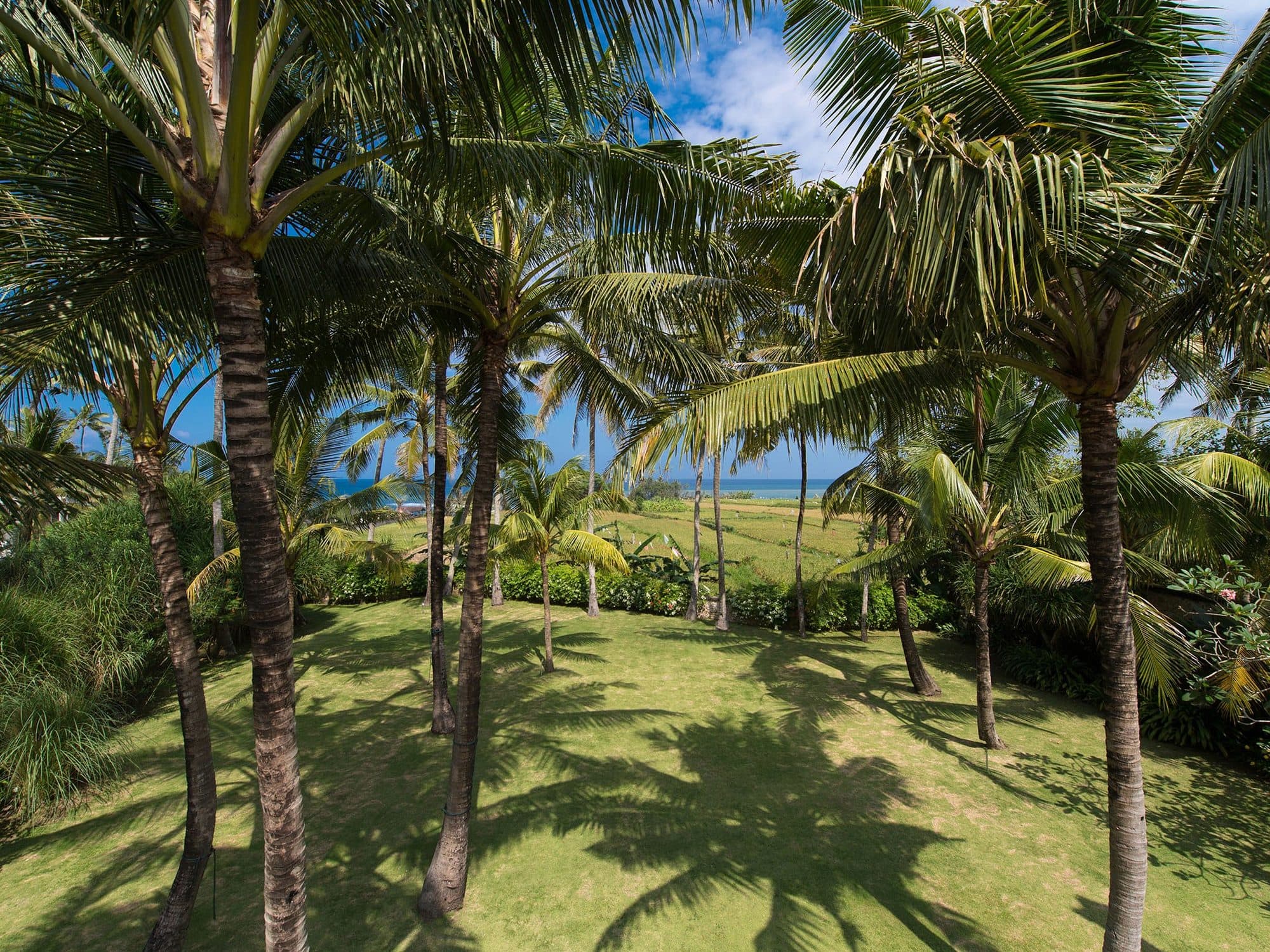 Villa Samadhana — the lawn beneath coconut palms · Ketewel, Indonesia